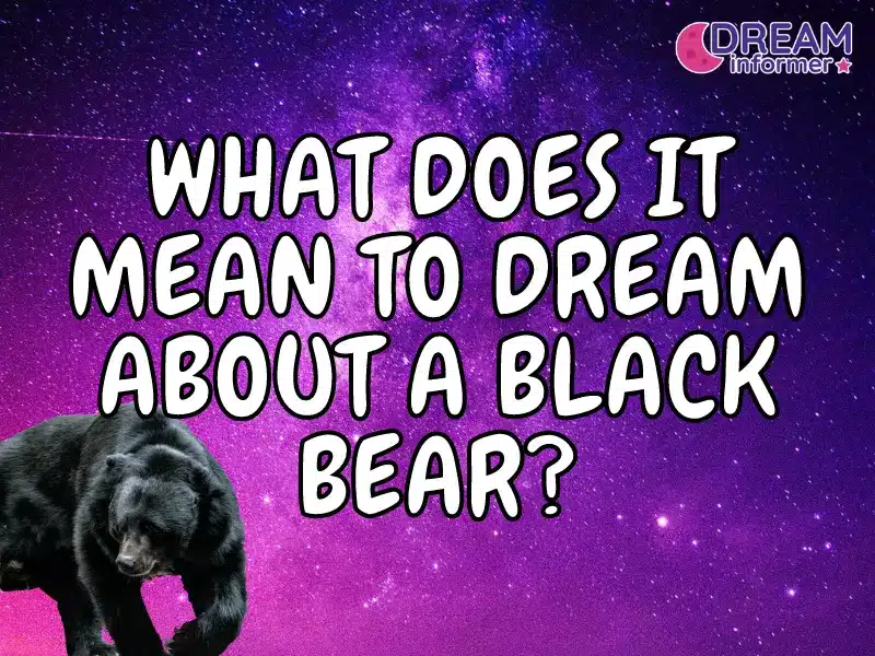 dream about black bear