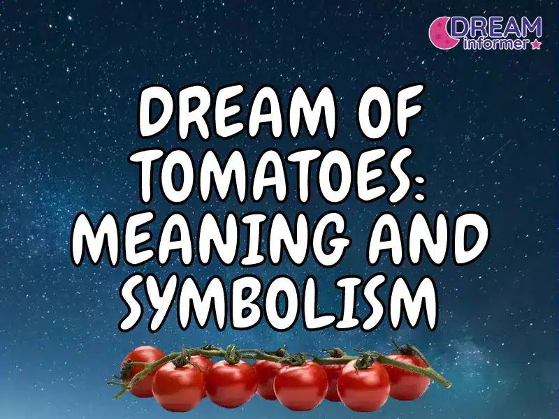 Dream Of Tomatoes