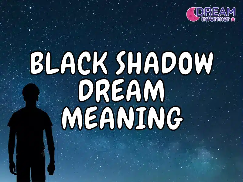 Black Shadow Dream Meaning