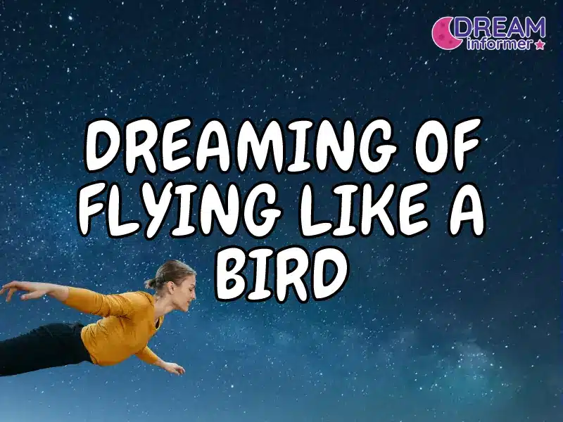 Dreaming Of Flying Like a Bird