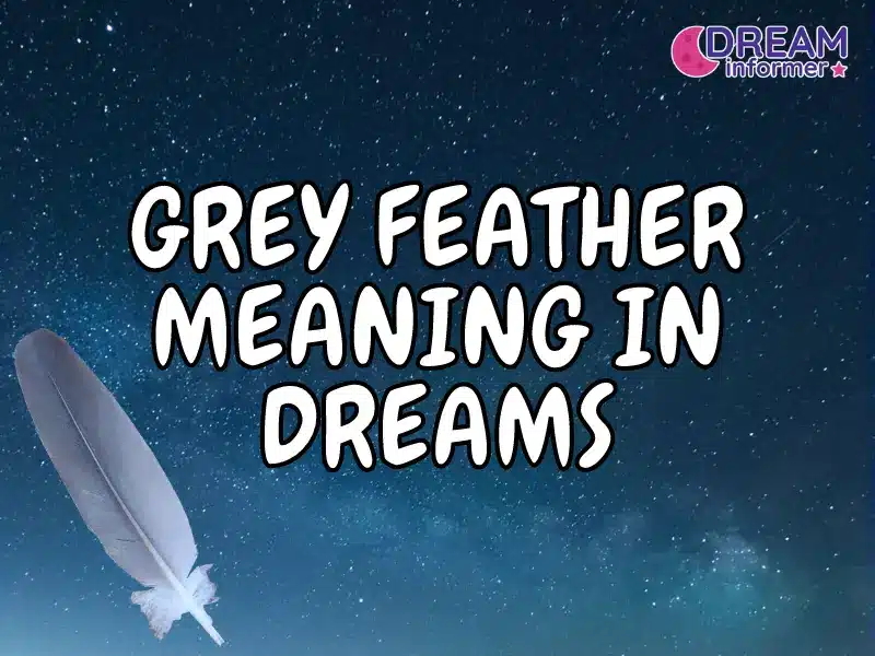 grey feather meaning