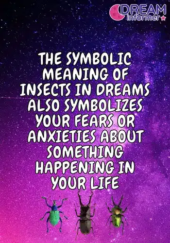 Insects Symbolism In Dreams